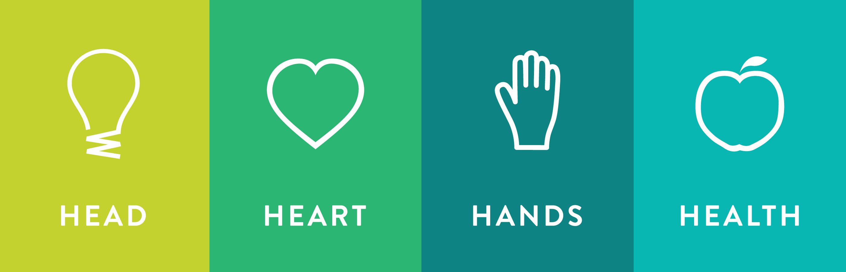 Head, Heart, Hands & Health icons