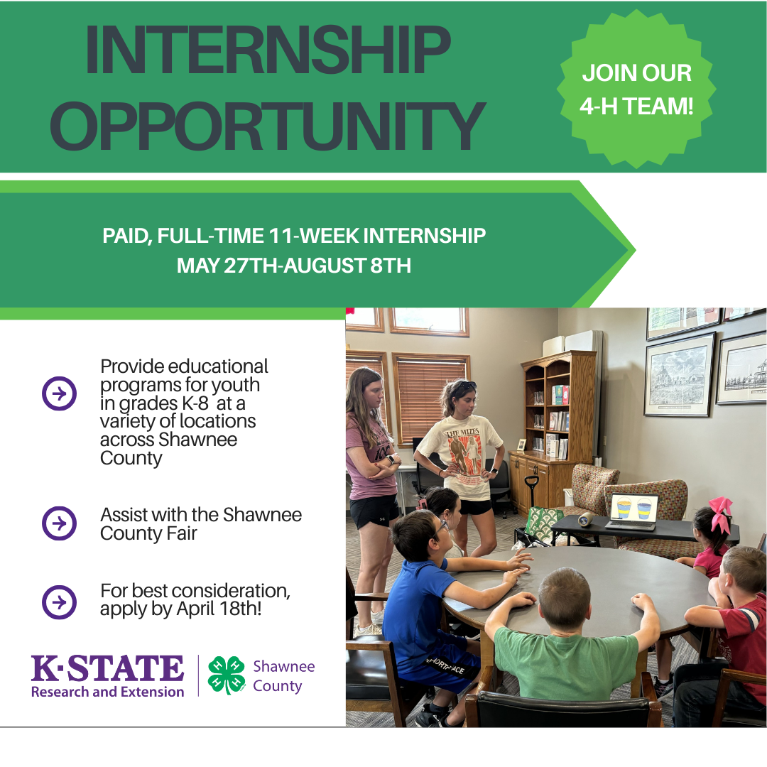 4-H Internship 