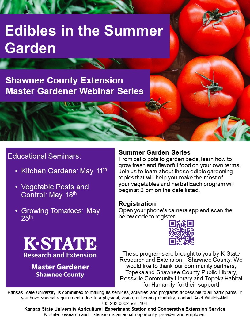 Summer Webinar Flyer