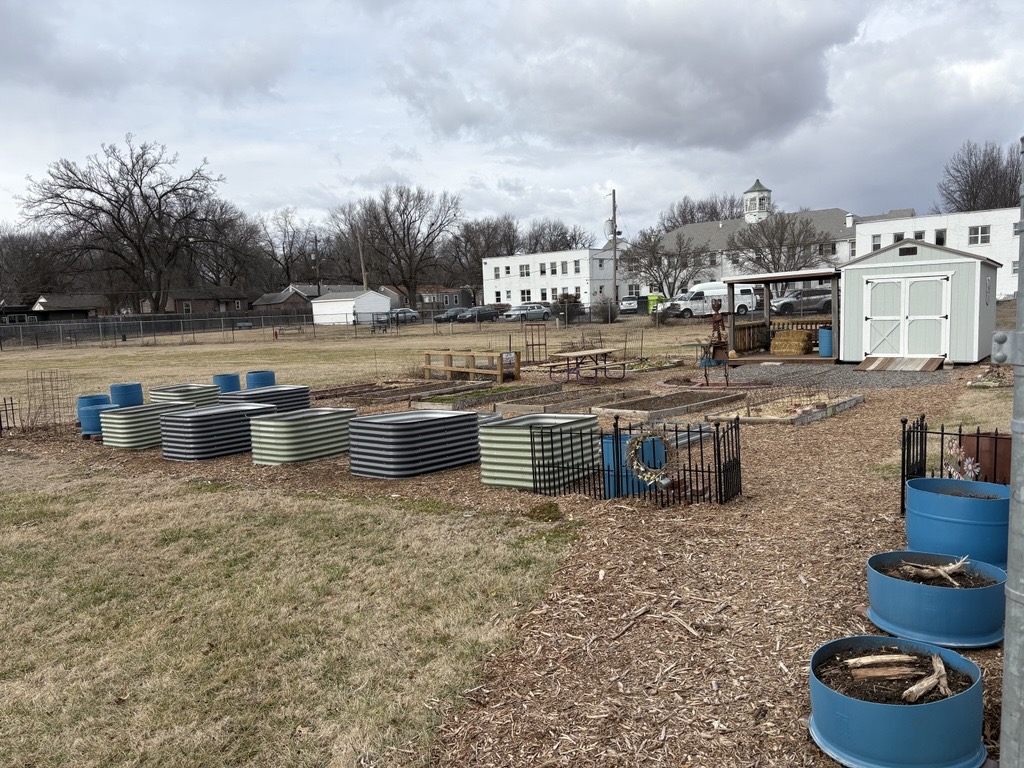 DVCG in January 2026