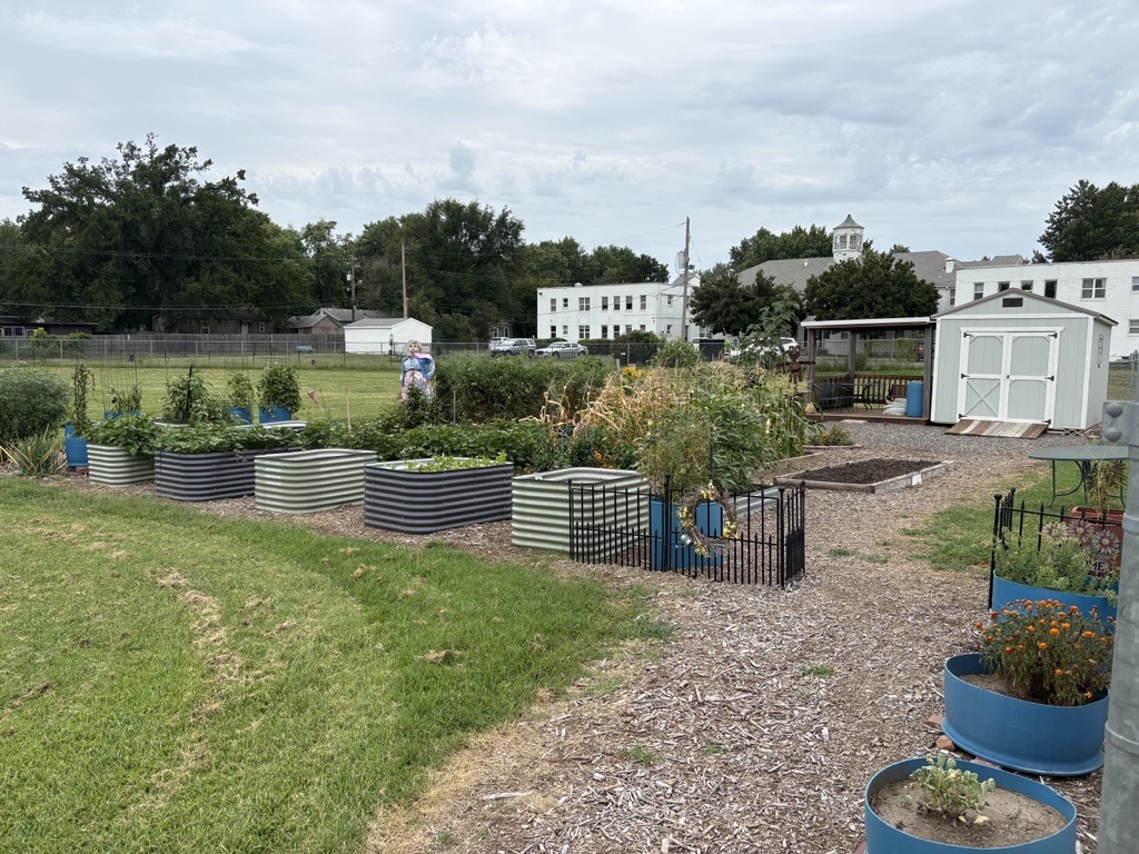 DVCG in August 2026