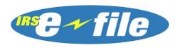 E-file color logo