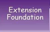 Extension Foundation logo