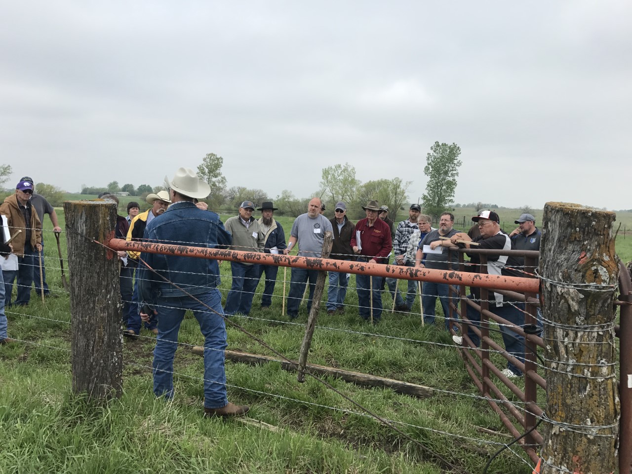 Grazing School