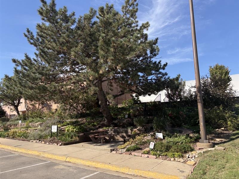 Hillside Garden Picture