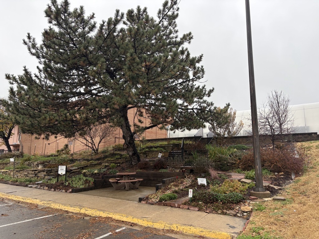 Hillside Garden in November 2025