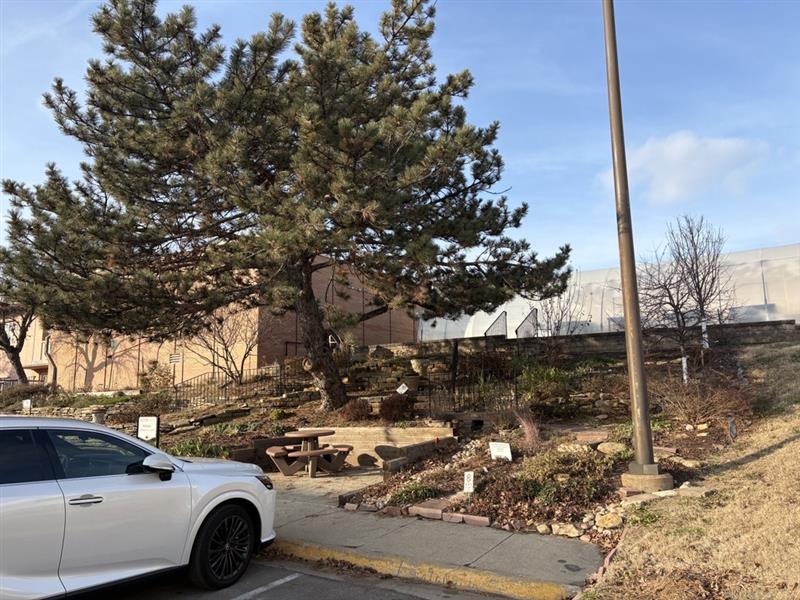 Hillside Garden in December 2025