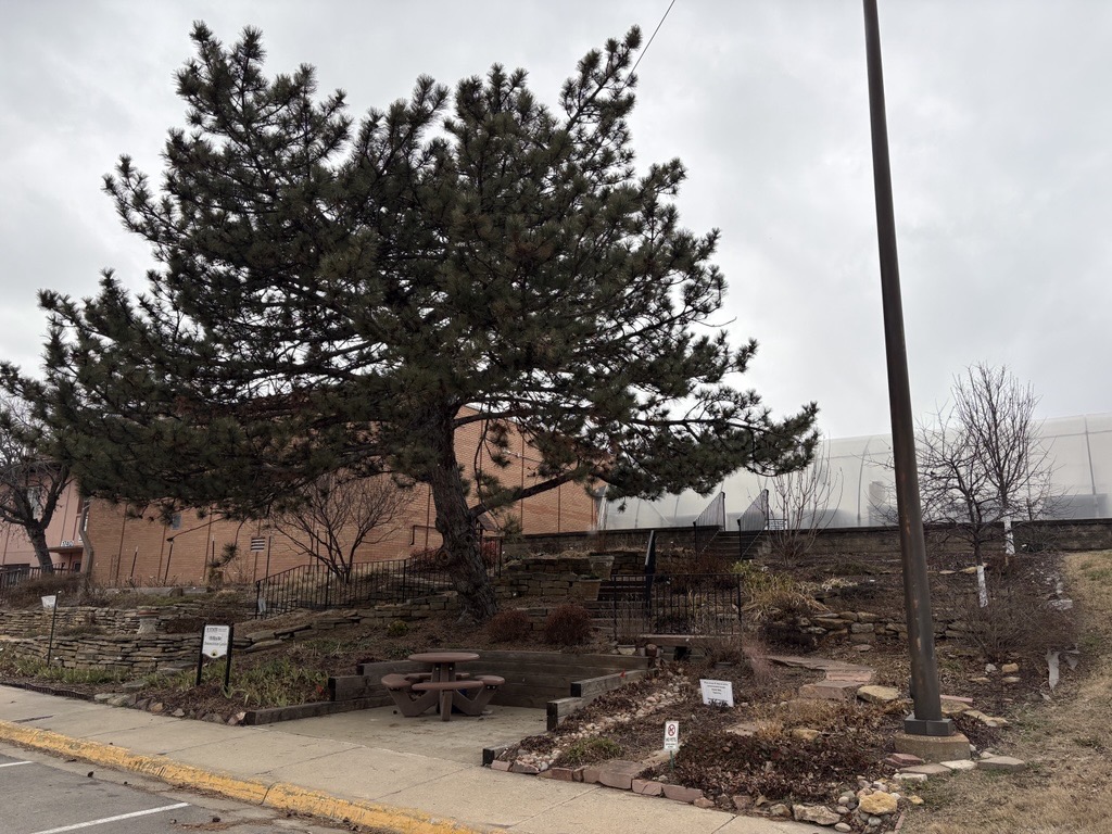 Hillside Garden in January 2026