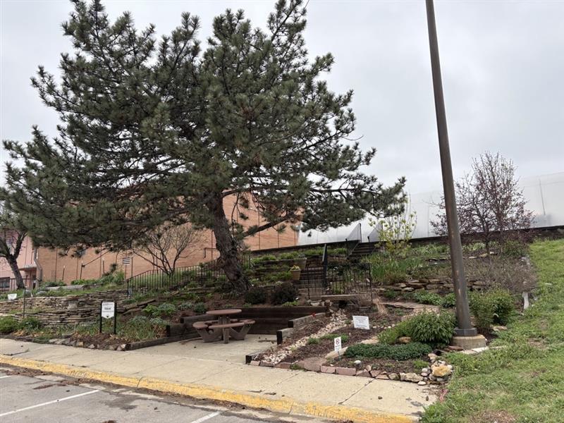 Hillside Garden in April 2026
