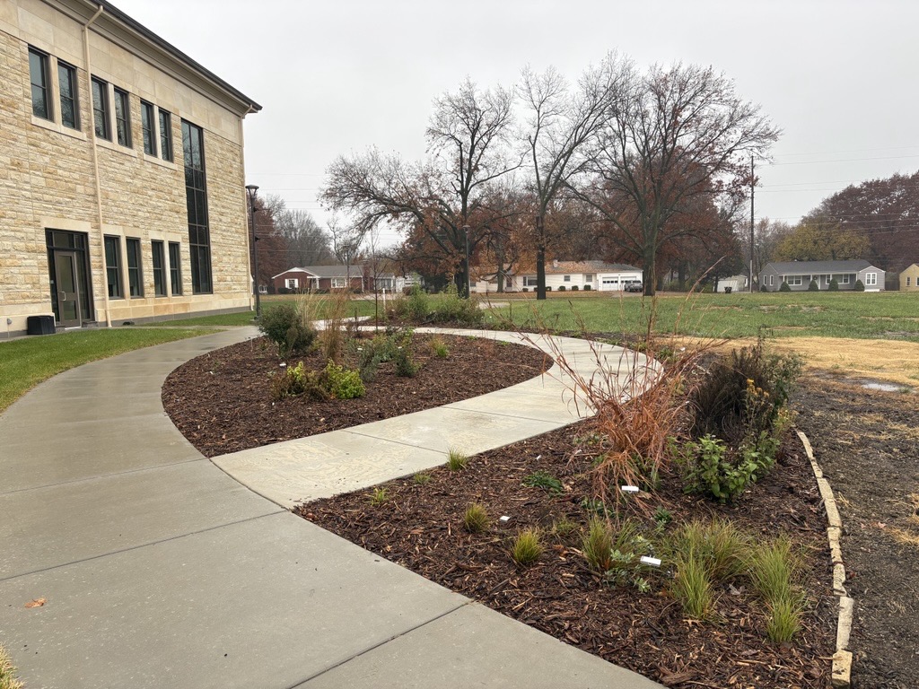 Native Plant Garden in November 2025