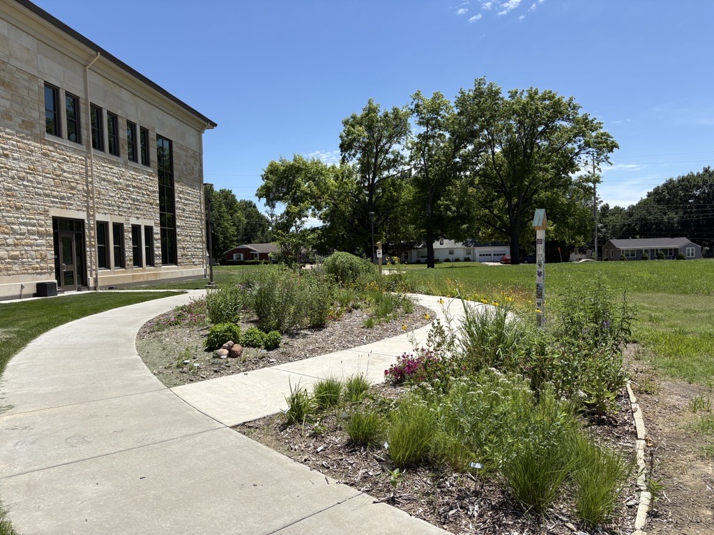 Native Plant Garden in June 2026