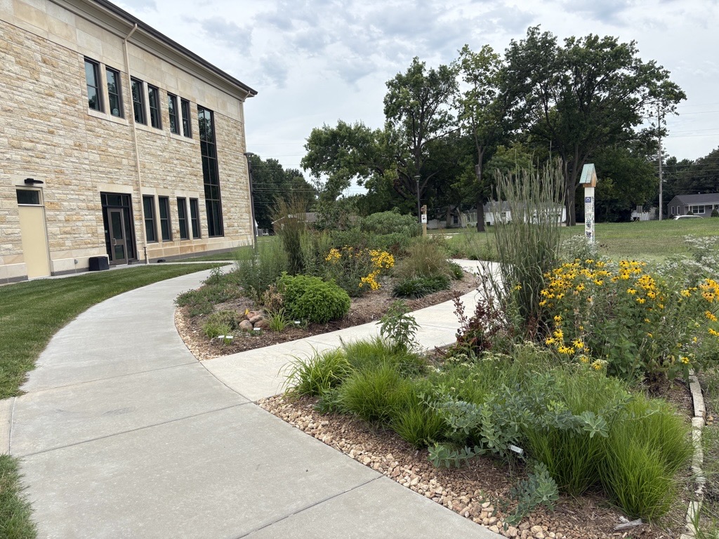 Native Plant Garden in August 2026