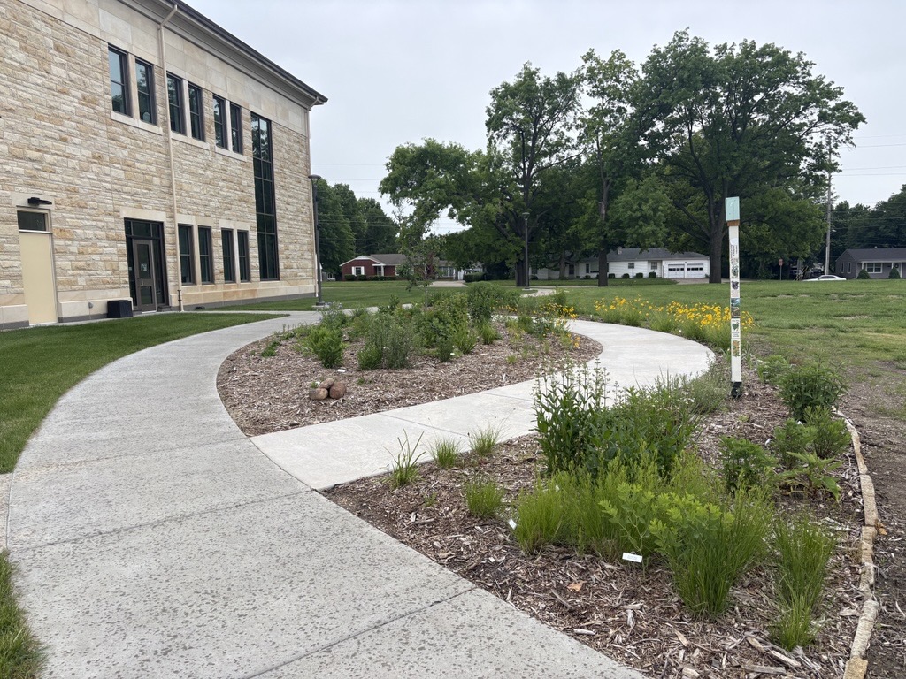 Native Plant Garden in May 2026