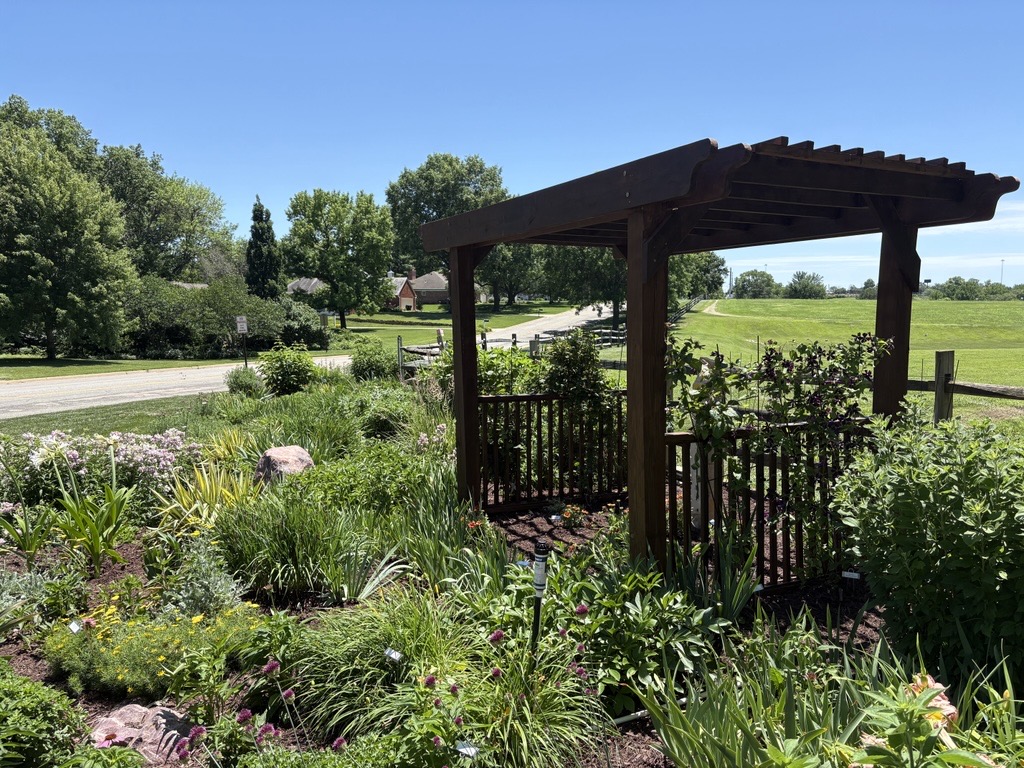 Perennial Garden in June 2026