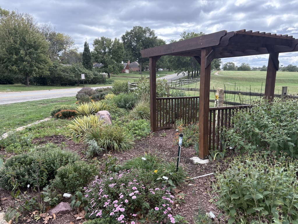 Perennial Garden in October 2026