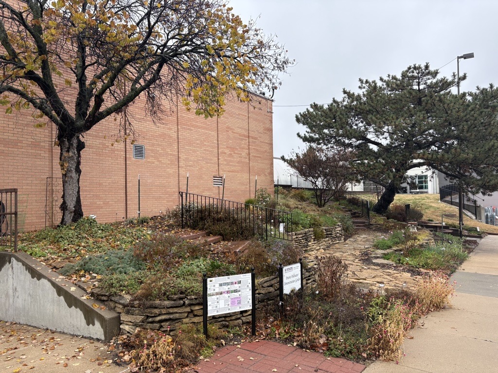 Prairie Pollinator Garden in November 2025