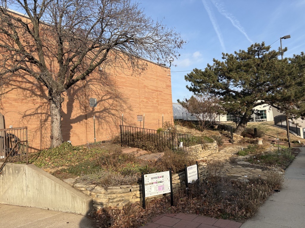 Prairie Pollinator in December 2025