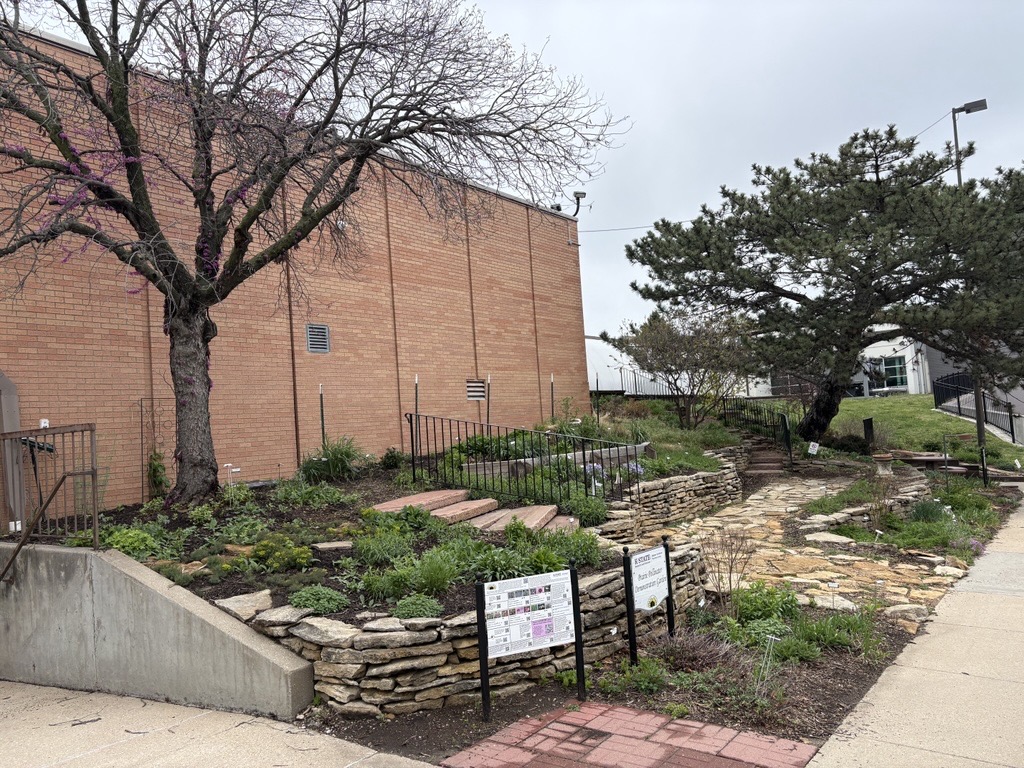 Prairie Pollinator Garden in April 2026