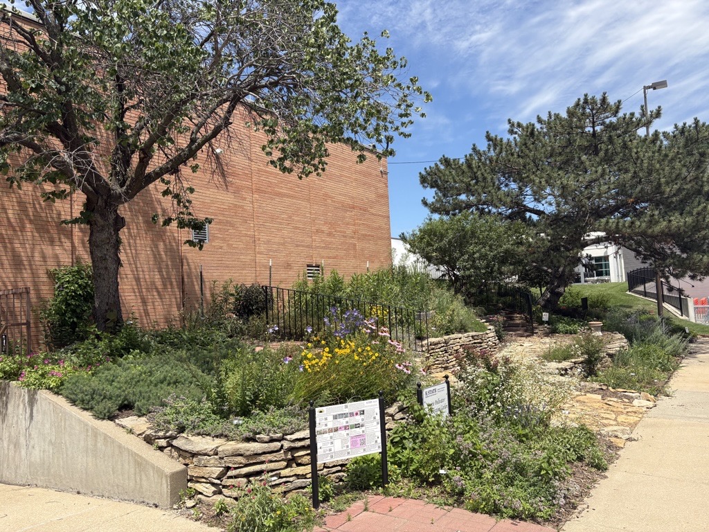 Prairie Pollinator Garden in June 2026
