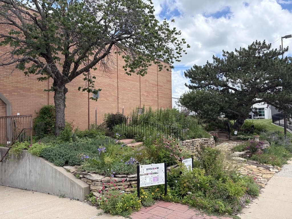 Prairie Pollinator Garden in July 2026