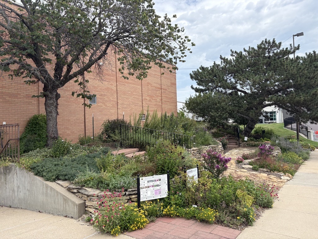Prairie Pollinator Garden in August 2026