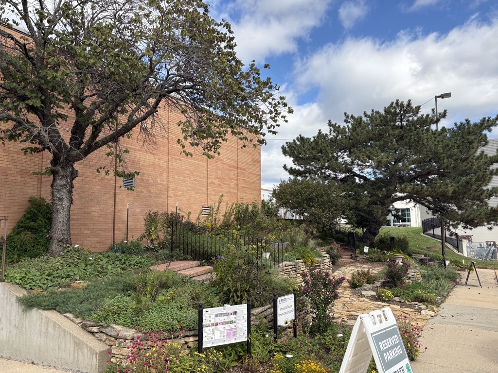 Prairie Pollinator Garden in October 2026