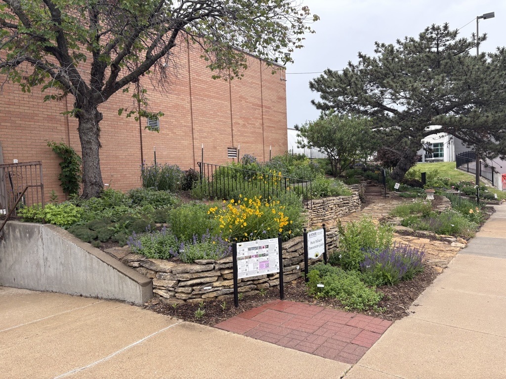 Prairie Pollinator Garden in May 2026