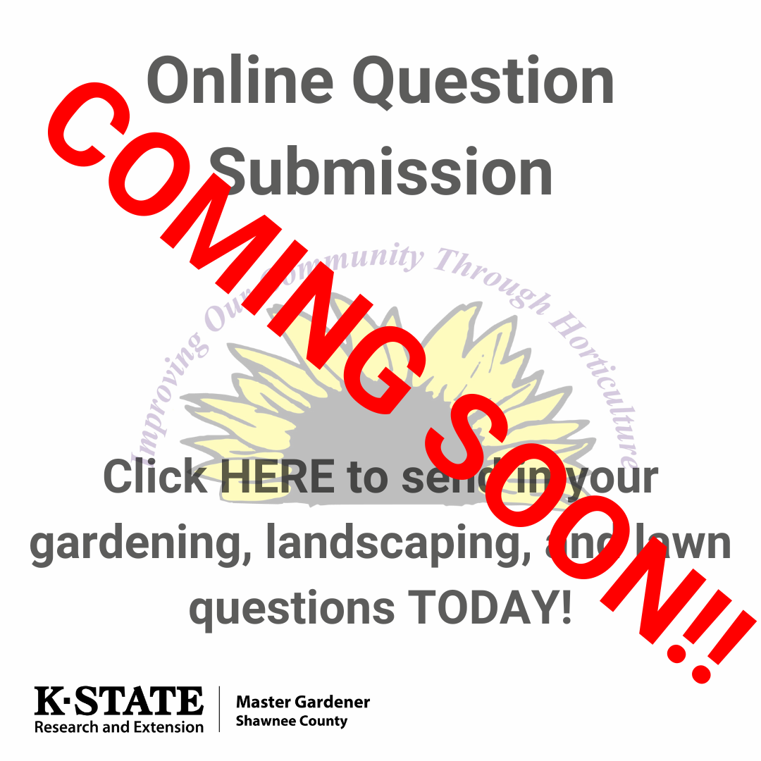 Online Question Submission Coming Soon