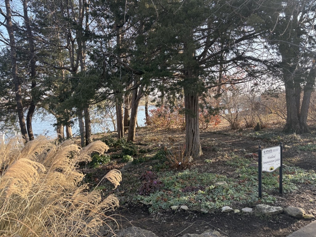 Woodland Garden in December 2025