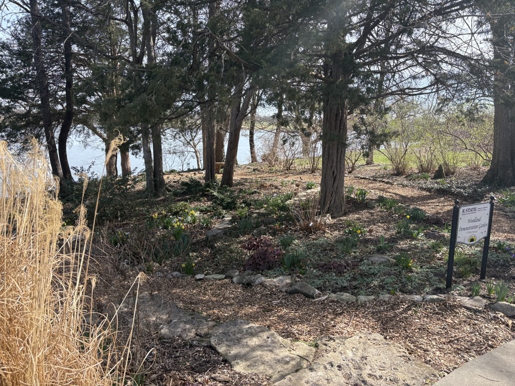 Woodland Garden in March 2026