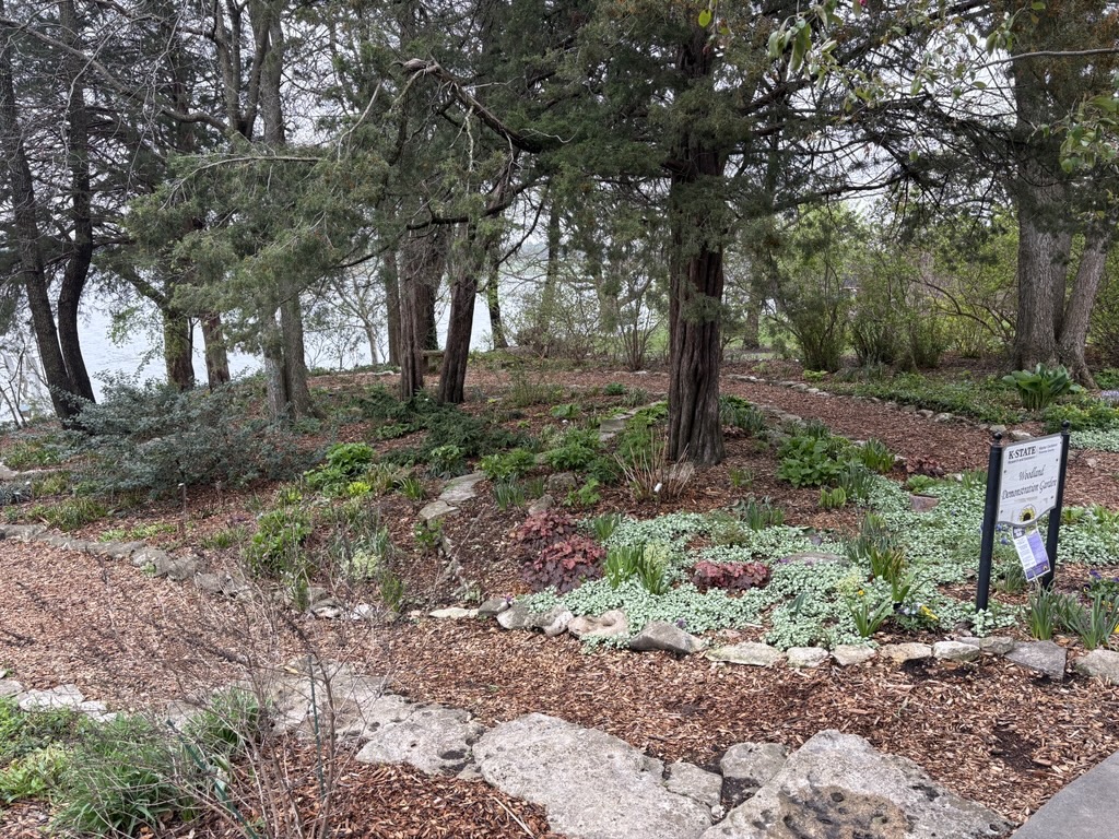 Woodland Garden in April 2026