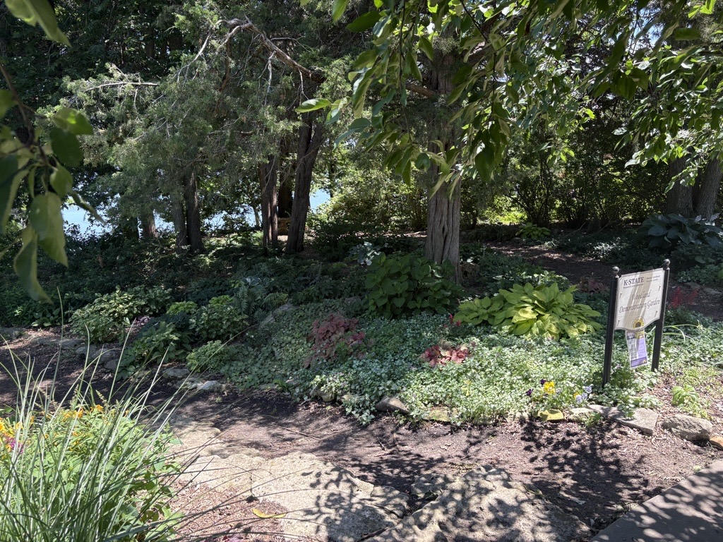Woodland Garden in June 2026