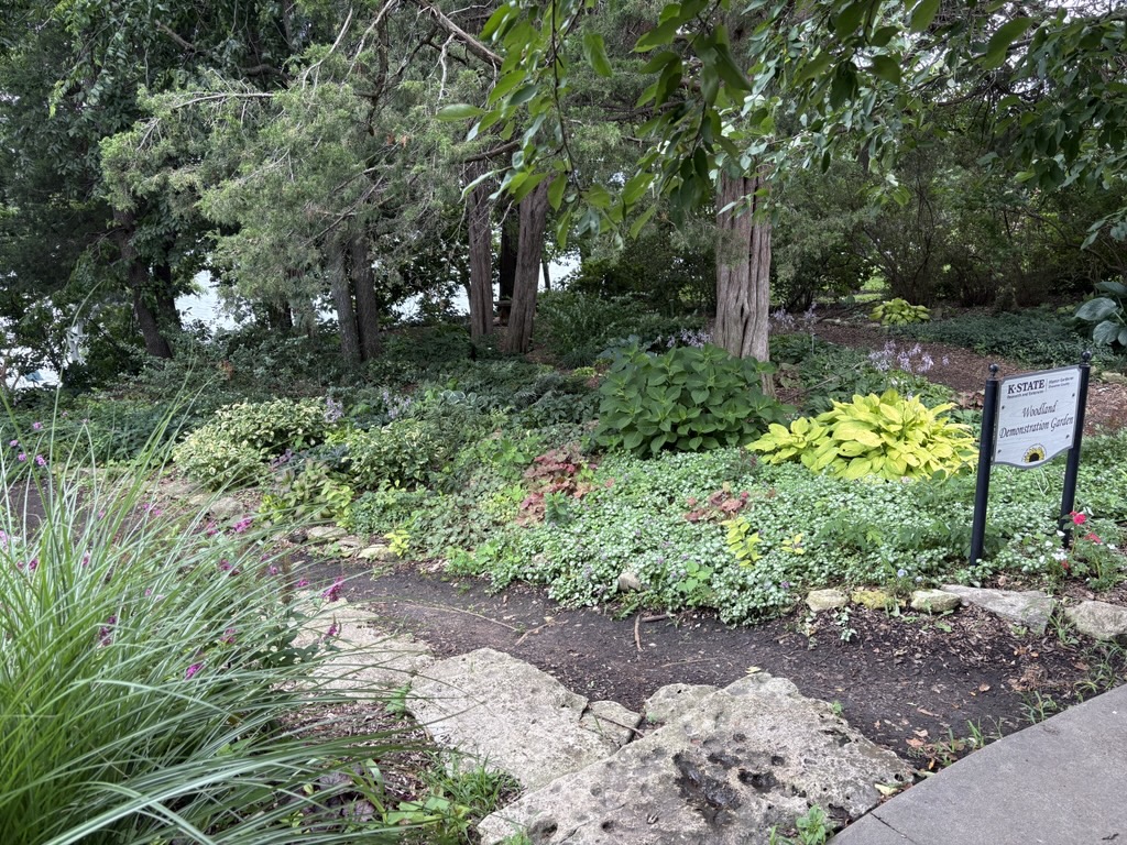 Woodland Garden in July 2026