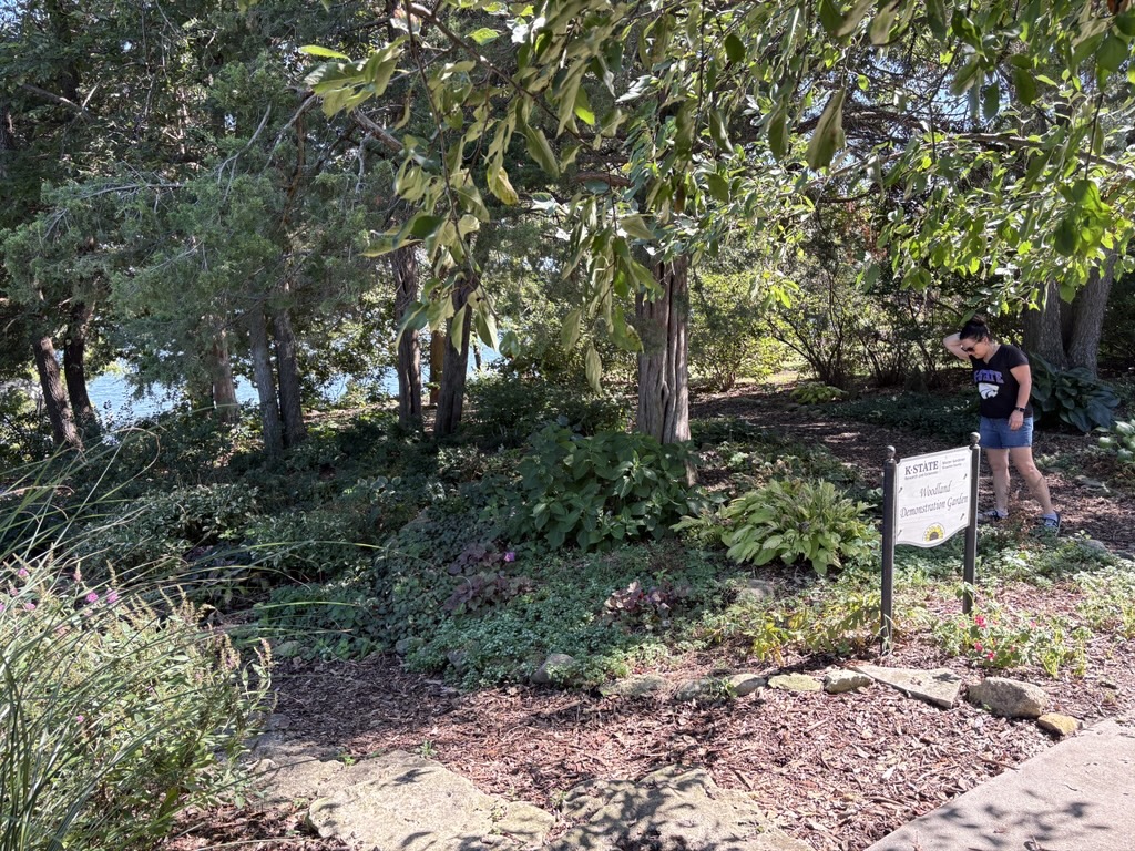 Woodland Garden in September 2026