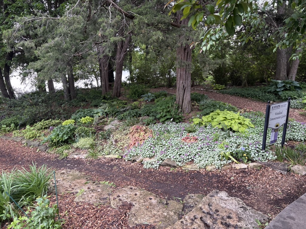 Woodland Demonstration Garden in May 2026