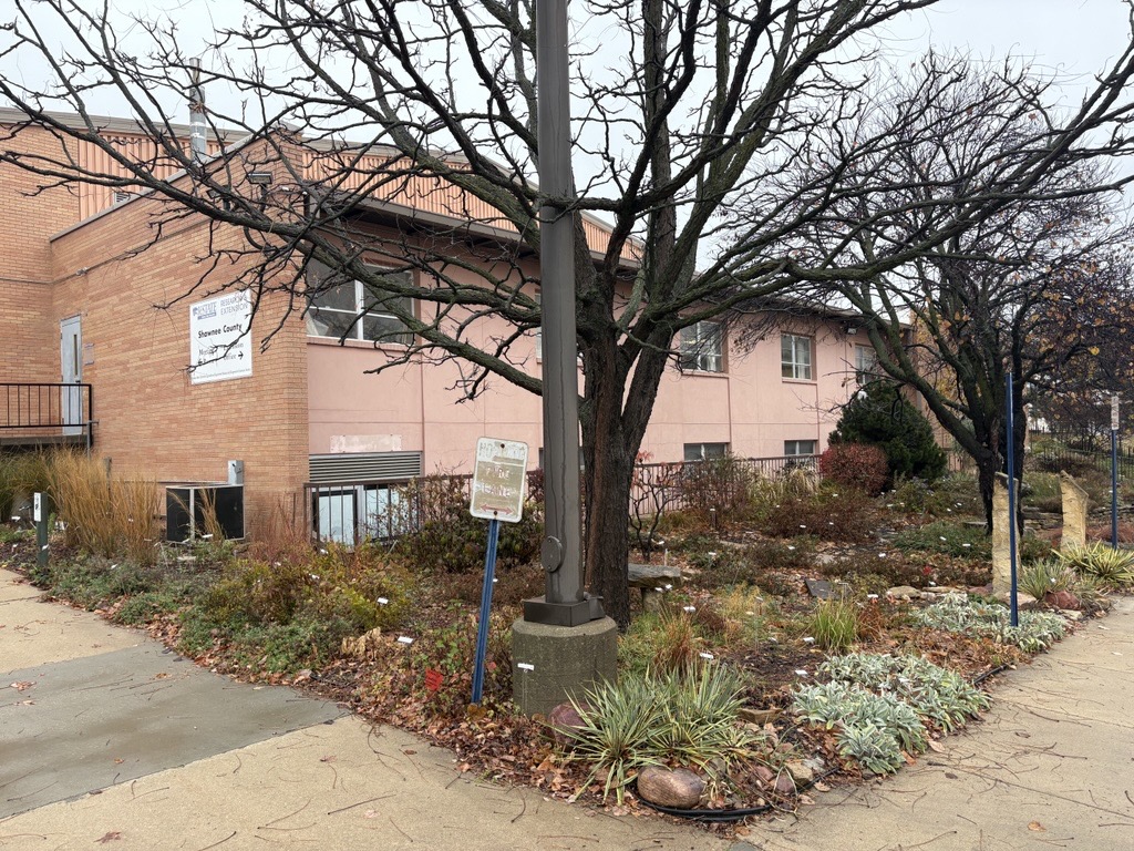 Xeriscape Garden in November 2025