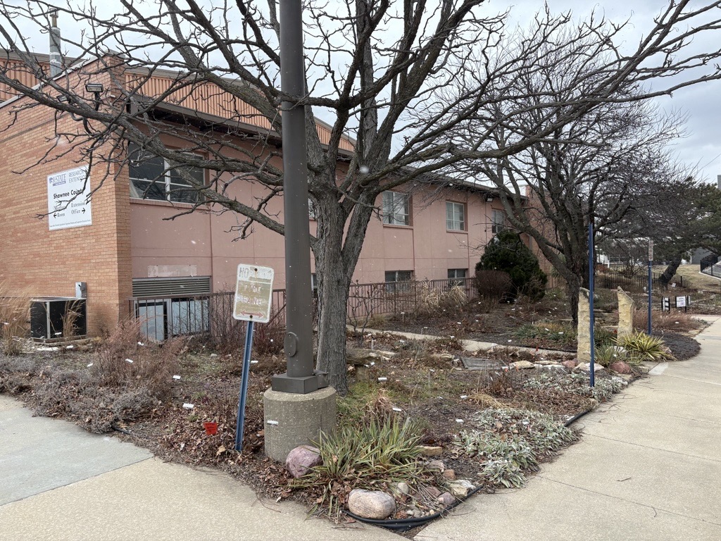 Xeriscape Garden in January 2026