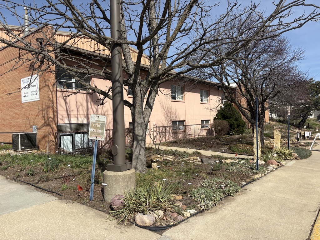 Xeriscape Garden in March 2026