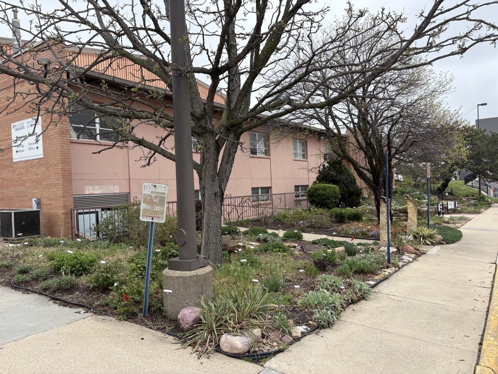 Xeriscape Garden in April 2026