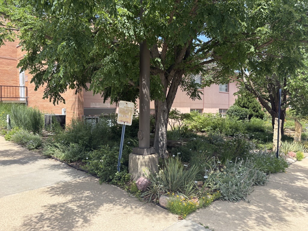 Xeriscape Garden in June 2026