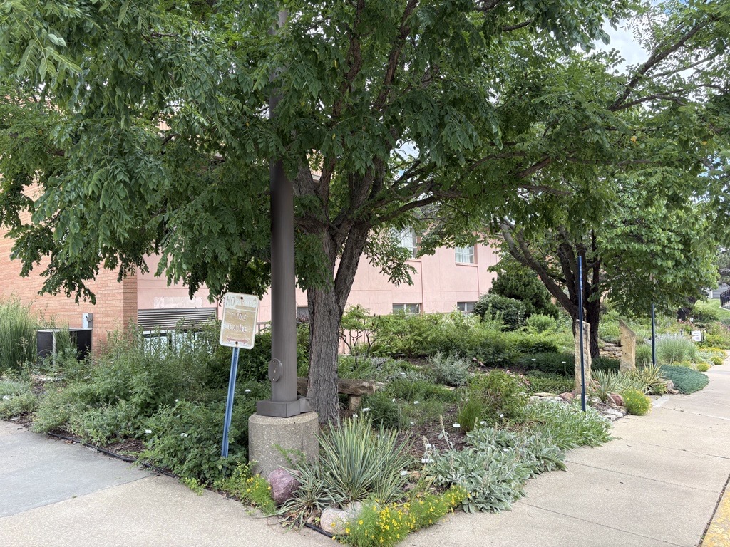Xeriscape Garden in July 2026