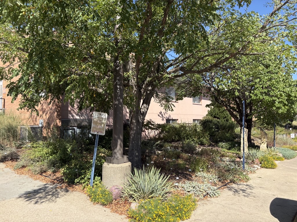 Xeriscape Garden in September 2026