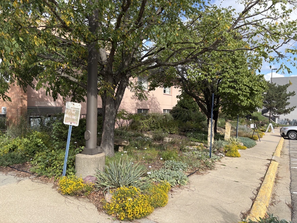 Xeriscape Garden in October 2026