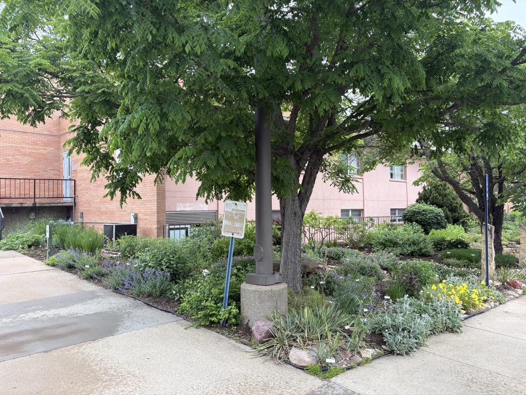 Xeriscape Garden in May 2026