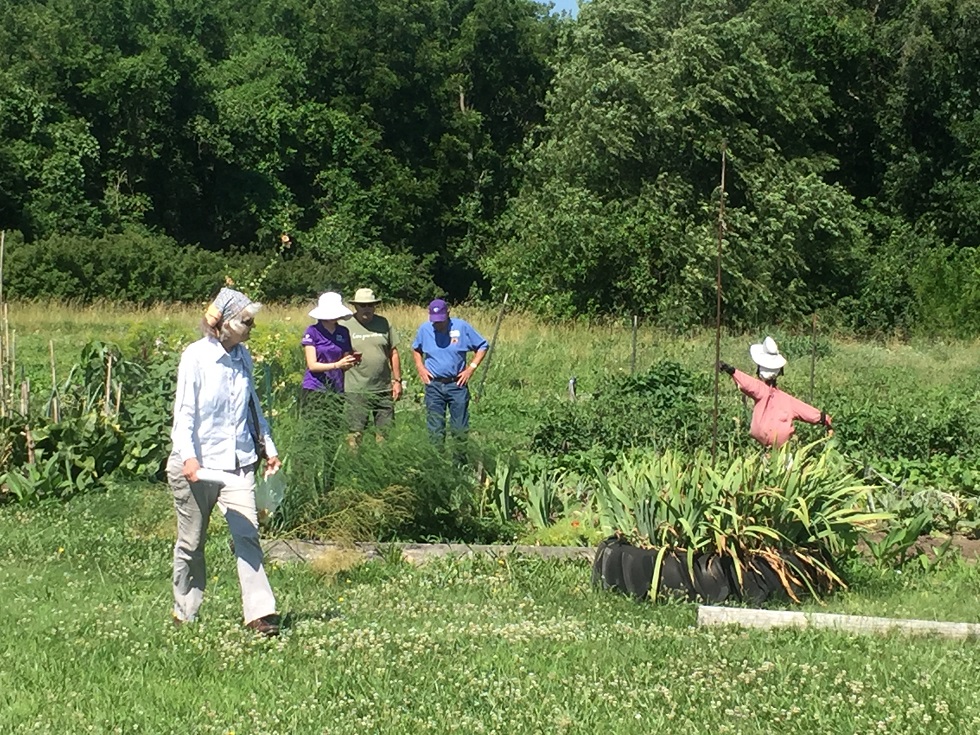 Community-Gardening-at-Hi-Crest