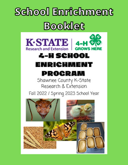 School Enrichment Booklet