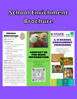 School Enrichment Brochure